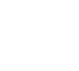 3-Box-1-Icon-3-2